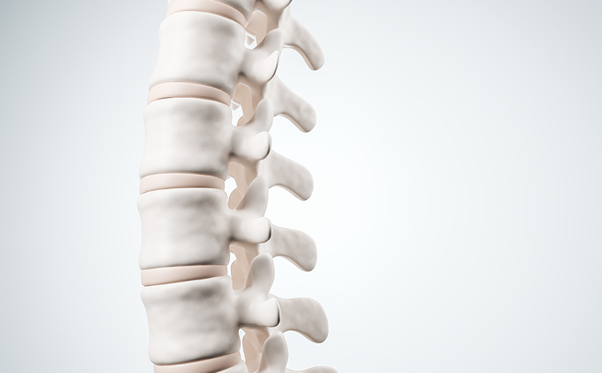 Image of spine