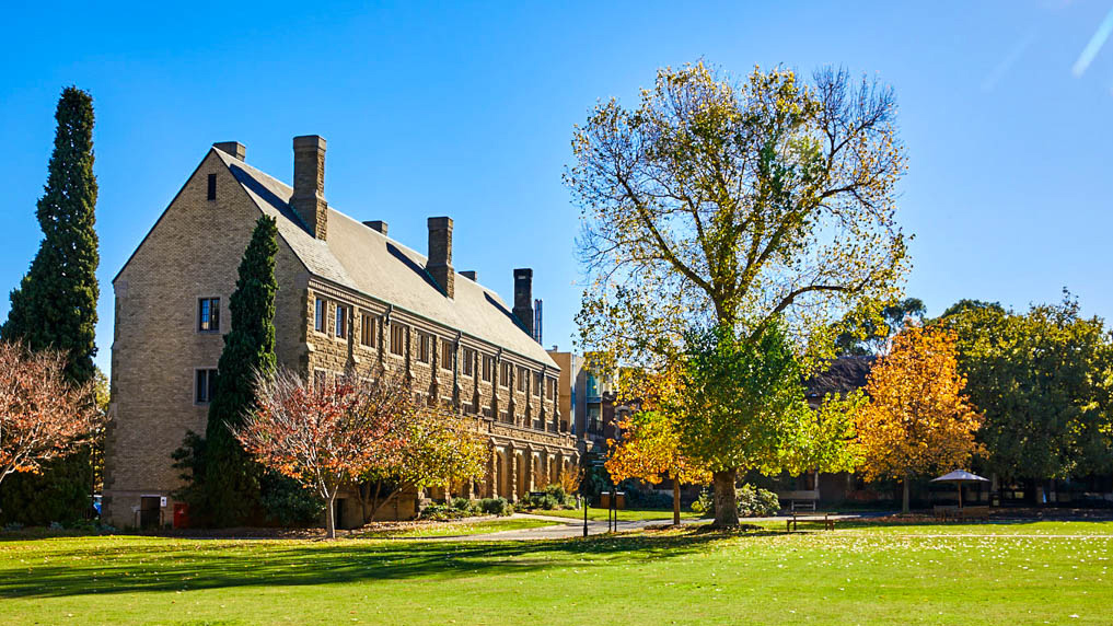 Campus and Culture