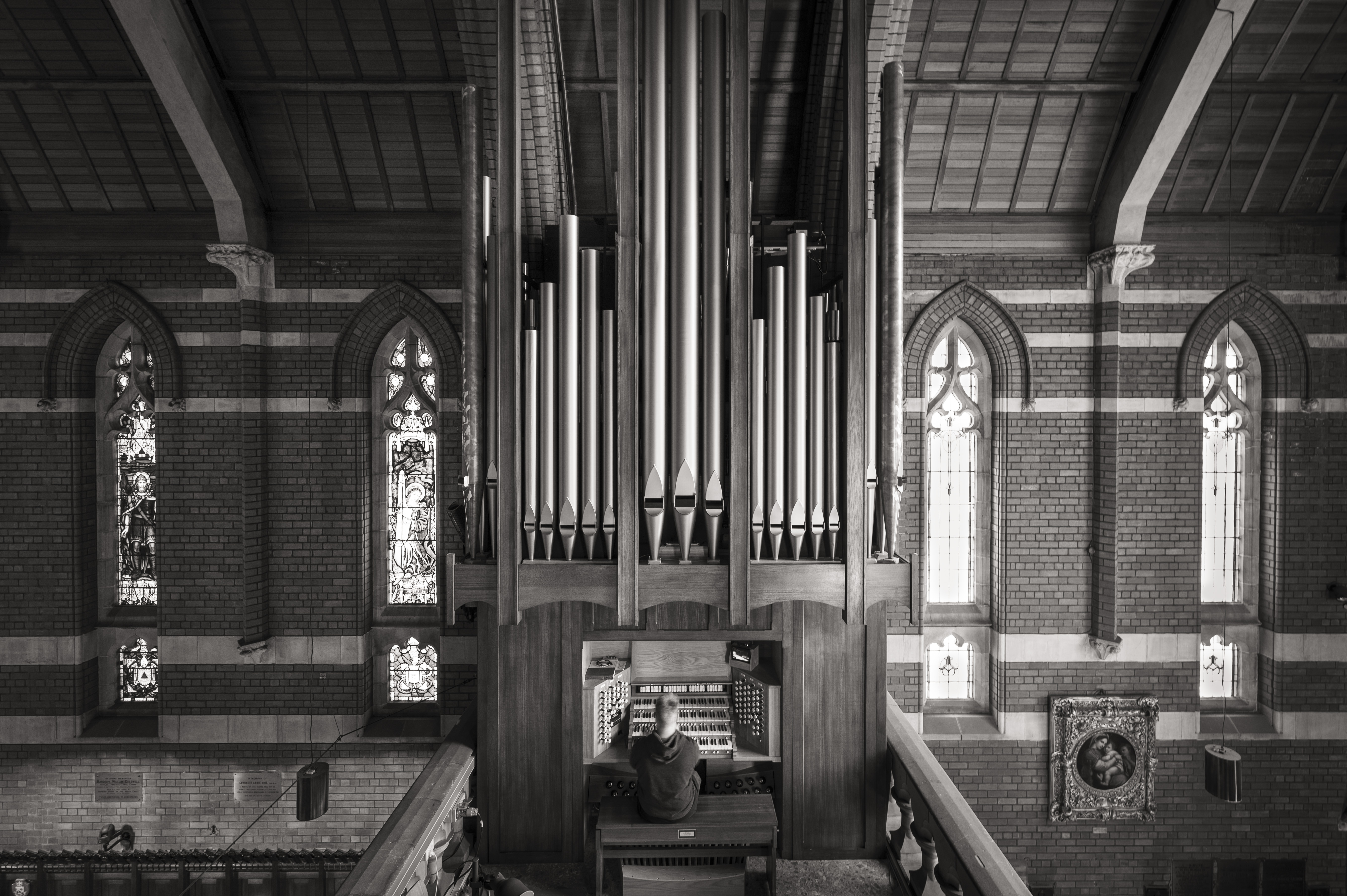 Organ