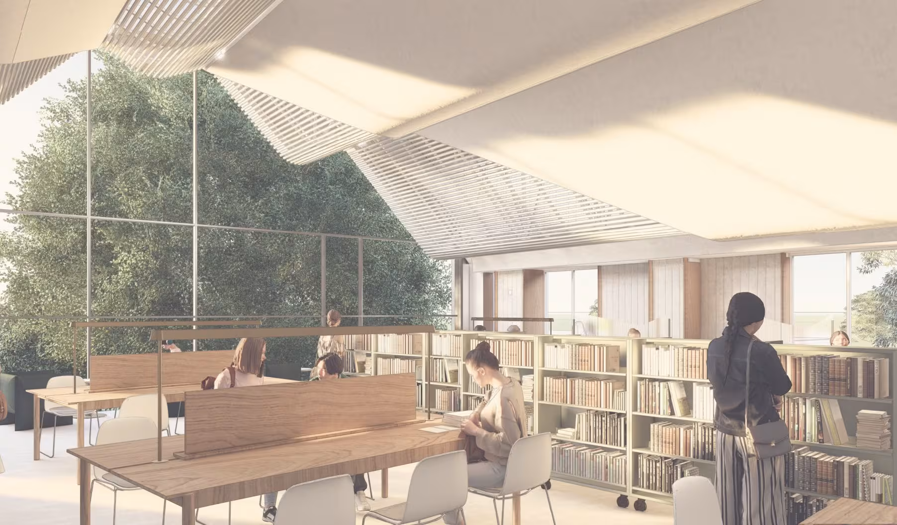 Library study zone