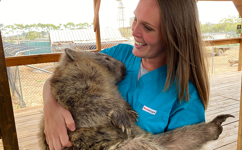 Chloe and Indy the wombat