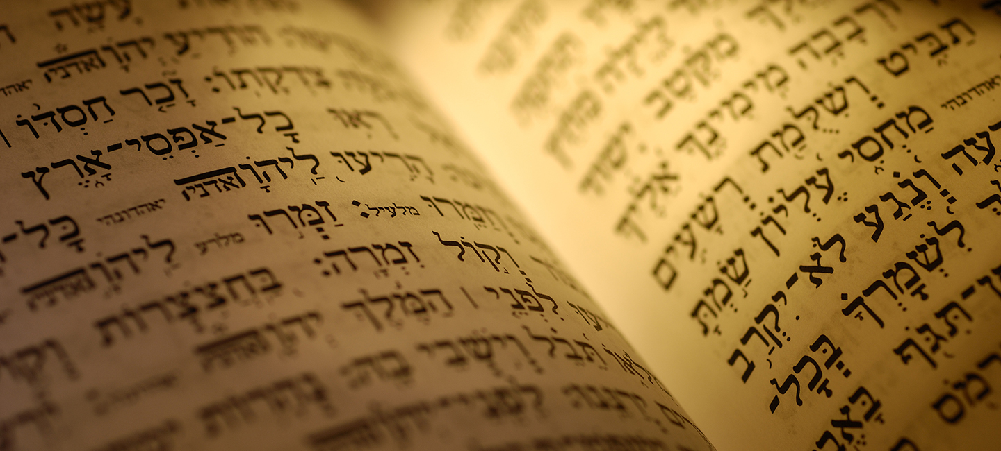 Politics and Compromise in the Hebrew Bible